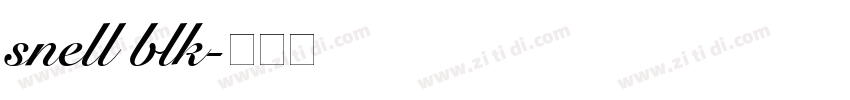 snell blk字体转换